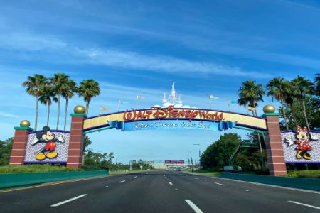 Disney World Driving Services